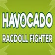 Havocado: Ragdoll Fighter icon