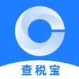 Programın simgesi: 查税宝