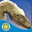 ไอคอนของโปรแกรม: Velociraptor: Small and S…