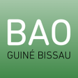 Ícone do programa: BAO Mobile
