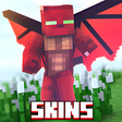 プログラムのアイコン：Wing Skins - Elytra Angel…