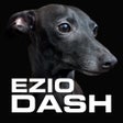 程序图标：EzioDash