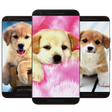 Icoon van programma: Puppy  Dog Wallpaper HD