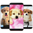 Programikonen: Puppy  Dog Wallpaper HD