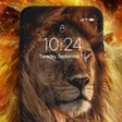أيقونة البرنامج: Lion Wallpaper