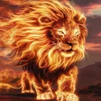 أيقونة البرنامج: Lion Wallpaper