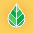 Icoon van programma: Young Living Essential Oi…
