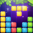 程序图标：Block Puzzle:Fantasy