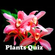 Programikonen: Plants Quiz - for botanis…