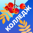 ไอคอนของโปรแกรม: Колледж МЭШ
