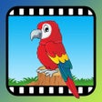 Ícone do programa: Video Touch - Wild Birds
