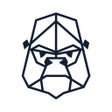 Pictogram van programma: GYMONKEE