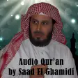 Audio Quran by Saad El Ghamidi