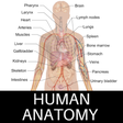 程序图标：Human Anatomy