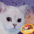 DRCA - Degradation Running Cat icon
