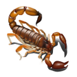 Ícone do programa: Scorpio - Live Wallpaper