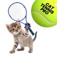 Programikon: Cat Tennis Pro