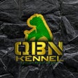 Icoon van programma: QBN App