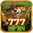 Programikonen: Card Raid 777 Spin
