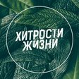Icon of program: Хитрости Жизни