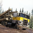 Cargo Truck Simulator 3d Game icon