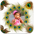 Icoon van programma: Peacock Feather Photo Fra…