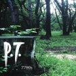 Иконка программы: P.T.