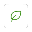 Icoon van programma: Ichime - Plant Identifier