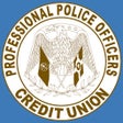 Иконка программы: PROFESSIONAL POLICE OFFIC…