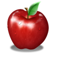 Icon of program: BMR Calculator