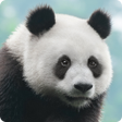 Иконка программы: 150 Animal Sounds and Qui…