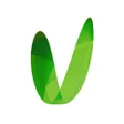 プログラムのアイコン：Vidrala