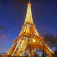 Icon of program: eiffel tower video wallpa…