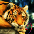 Programikonen: Silent Beast Xperien Them…