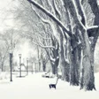 Programikonen: Snow Wallpapers