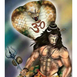 程序图标：Mahadev Status - Mahakal …