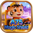 Ícone do programa: A75Magic Shield