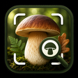 أيقونة البرنامج: Mushroom Identifier - Fre…