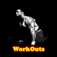 Иконка программы: WorkOuts