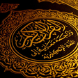 プログラムのアイコン：Read the Koran in Russian