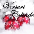 程序图标：Versuri cu Colinde