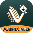 video downloader