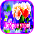 프로그램 아이콘: доброе утро картинки