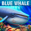 أيقونة البرنامج: Blue Whale Simulator