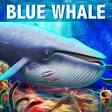 ไอคอนของโปรแกรม: Blue Whale Simulator