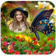 Icon of program: Butterfly Photo Frames