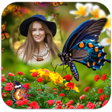プログラムのアイコン：Butterfly Photo Frames