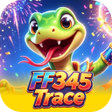 프로그램 아이콘: FF345Trace