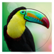 Icon of program: Animal Sound for Kids
