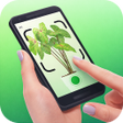 ไอคอนของโปรแกรม: AI Plant Identifier and C…